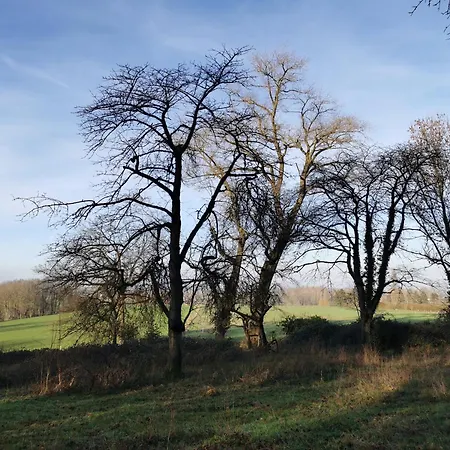De Groene Hoeve * Brakel