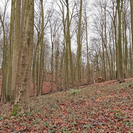 Prázdninový dům De Groene Hoeve Brakel