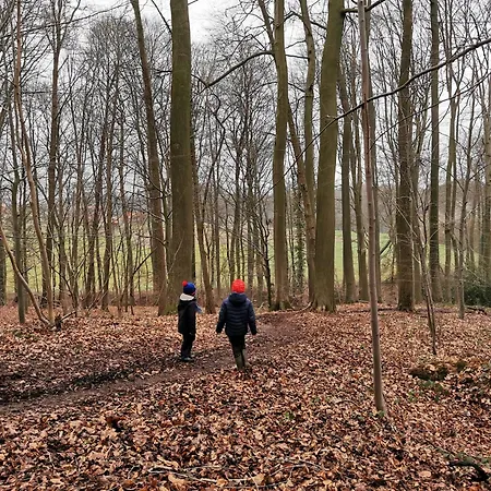Prázdninový dům De Groene Hoeve