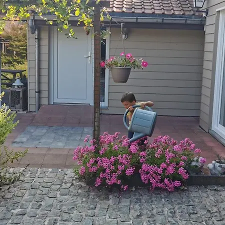 Prázdninový dům De Groene Hoeve